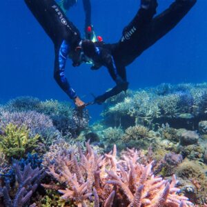 Coral Guardian